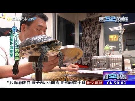鄭老師(龜鳥伯)命理服務處 評論